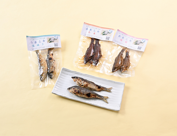 美濃養魚場 長良乙女